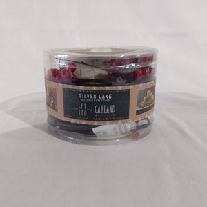 NEW Silver Lake Collective Garland 6 ft LEDBuilt in 4 Hr Timer Battery Operated